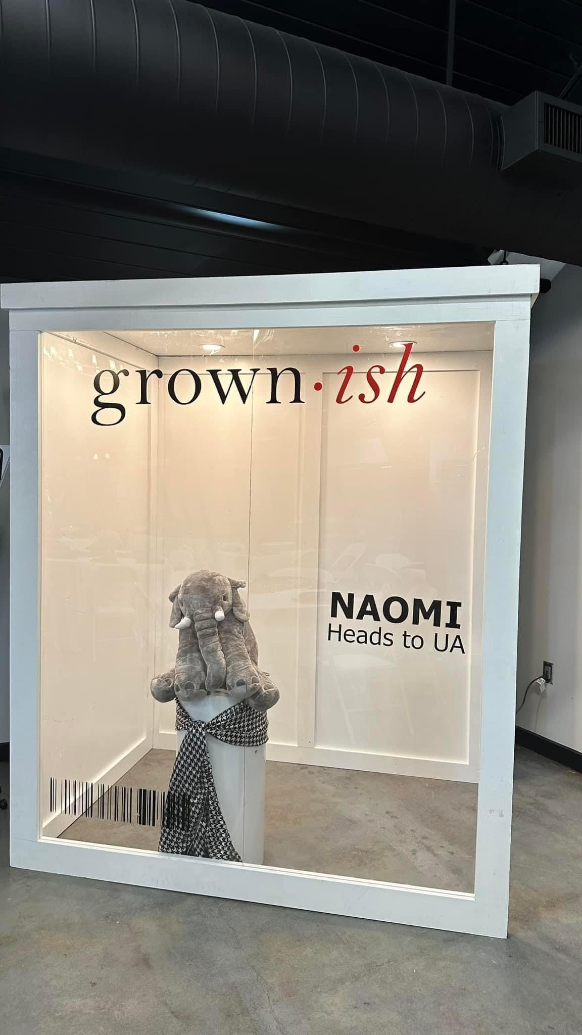 Build Plans for Vogue Photo Booth